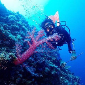 Onjay A. Micua profile icon