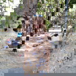 พัทราวดี ช่วยศรีทอง profile icon