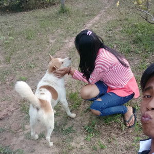 พรรณนิภา profile icon