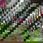 Yan Ratna profile icon