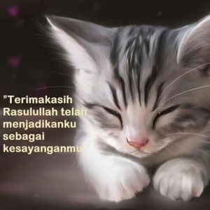 Amirul Shafiqah profile icon