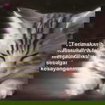 Amirul Shafiqah profile icon