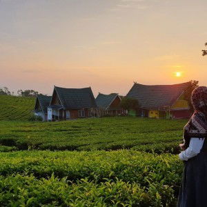 Ema Yaroh profile icon