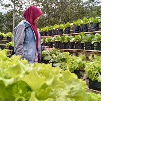 puspita profile icon