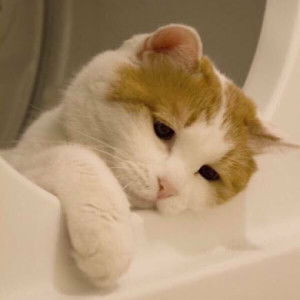 Nhaa 19 profile icon