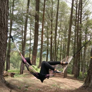 Callisza Nathassya profile icon