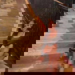 Zzsha KH profile icon