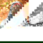 Sri Kurniawan profile icon