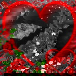 Kehinde Ibrahim profile icon