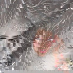 Fahmi Murodah profile icon