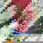 Aniz Aikyo profile icon