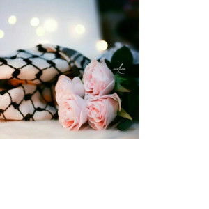 Calvina Izumi profile icon