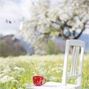 Numwarn Warnwarn profile icon