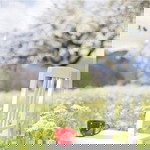 Numwarn Warnwarn profile icon