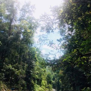 Arefah Yusof profile icon