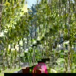 Jayanti Tri Utami profile icon