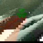 Akarsari92 profile icon