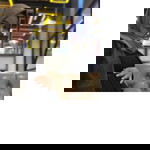 Novi Ishak profile icon