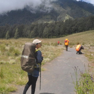 intan baidika profile icon