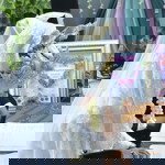 Warnesih profile icon