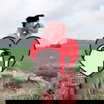 Qila Rasaly profile icon
