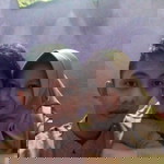 Benzo Nya Uchi profile icon