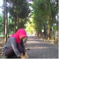 Anisatul W profile icon