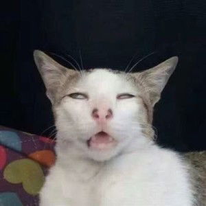 Debby T profile icon