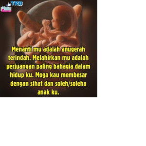 Alai Shah profile icon