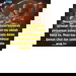 Alai Shah profile icon