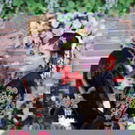 C'minah Chary profile icon