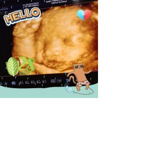 sry wahyuni profile icon