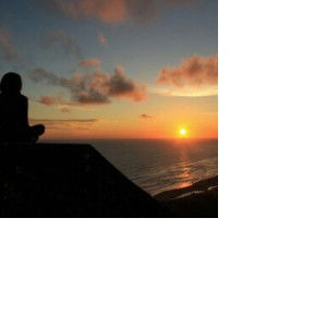 rovi sunny profile icon