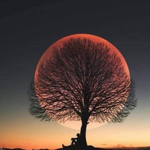 Yulianti profile icon