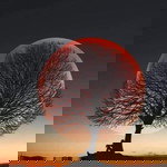 Yulianti profile icon