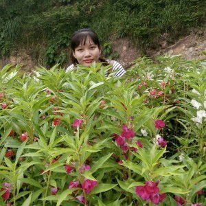 Hường Phùng profile icon