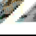 Lavina Arafat profile icon