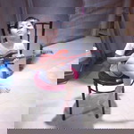 Alice Alice profile icon