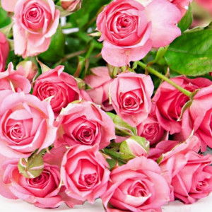 Naida Nurhaliza profile icon