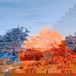 munirah rahim profile icon