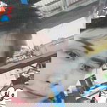 กำลังใช้งาน ยุในขณะนี้ profile icon