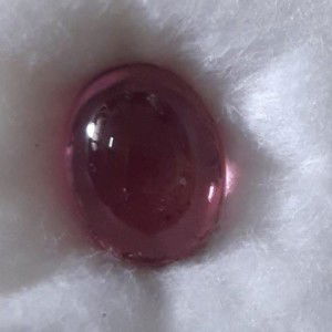 ปัทมา แก้วยอดเขา profile icon