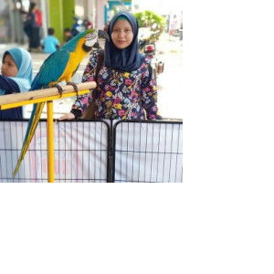 Nor Ain profile icon