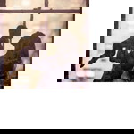 ucisasi profile icon