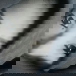 Sarah Asyifa profile icon