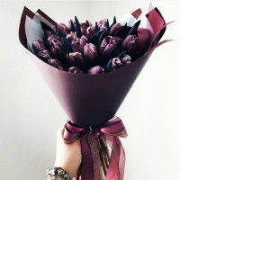 lolitasari profile icon