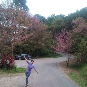 SineWaree Salakjit profile icon