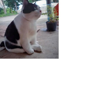 พิพรรณี ดวงเพตราภรณ์ profile icon