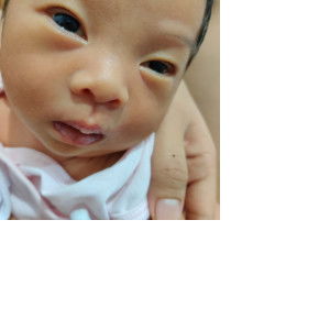 Ianne Lim profile icon