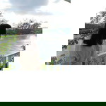 Trúc Nguyễn profile icon